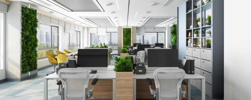 An image of an eco-friendly office with a bright atmosphere