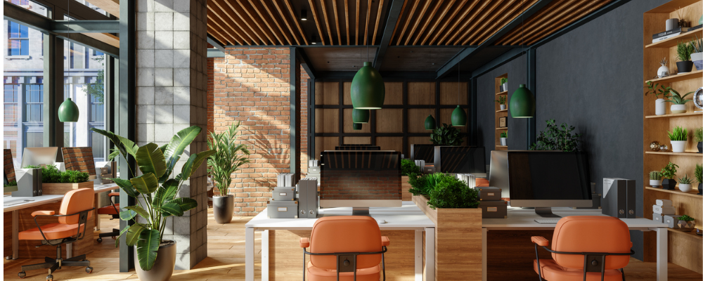 B-corporation office space featuring plants and furniture made with sustainable materials