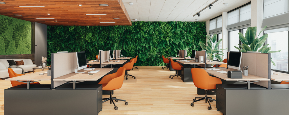 Millwork and custom furnishings concept- B-corporation office space using wooden desks for employees and different plants for design