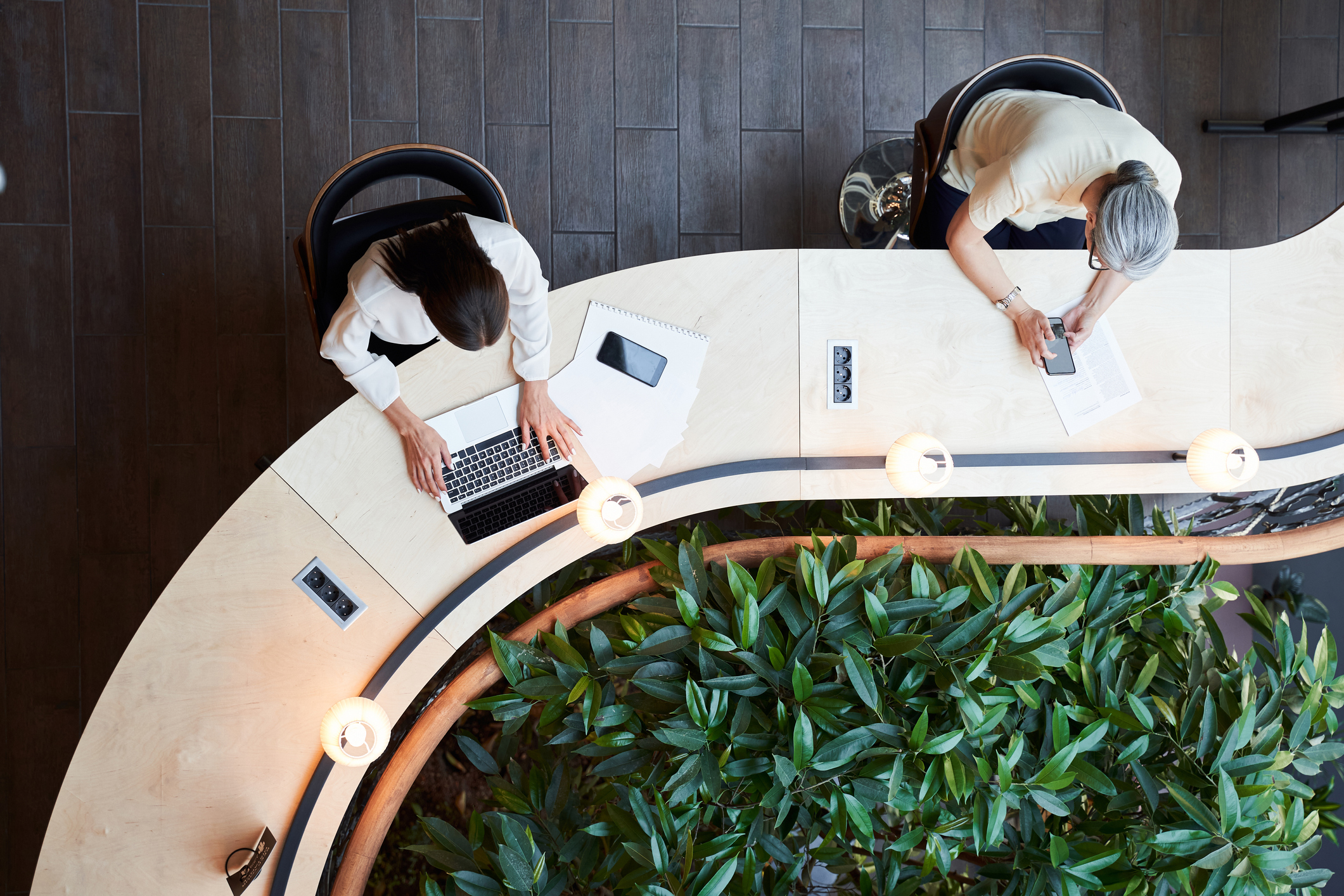 Top view of employees working on electronic devices at a curved table with indoor foliage.
